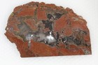 Priday Plume Agate Thunderegg lapidary 3.6 oz slab rough — photo 9