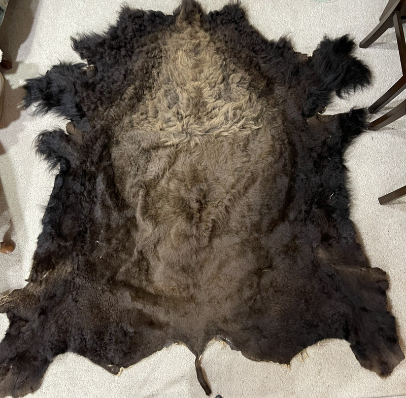Colorado Buffalo Hide 83”x74”