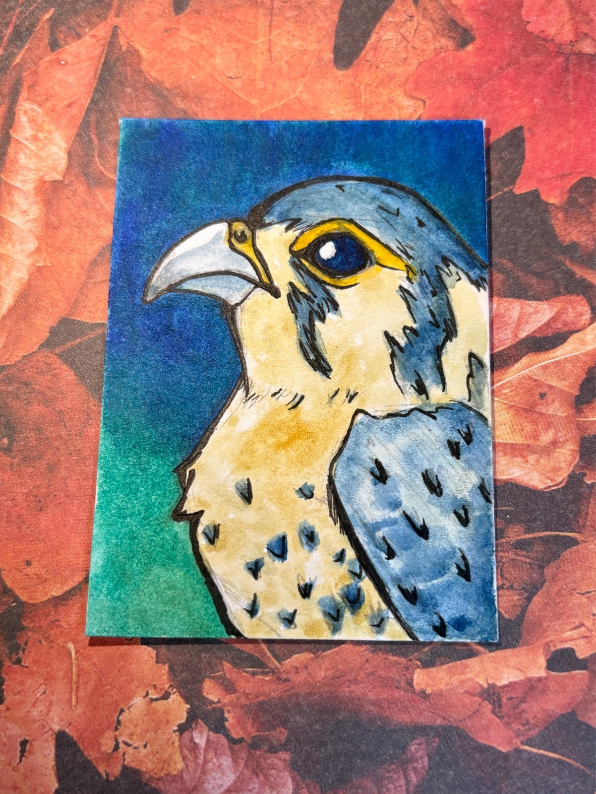Falcon Profile Painting Original Watercolor Bird ACEO Art Card by KayshaLacyArt