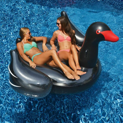rose toy site French Pool Toy 2020 Rosé (Vin de France) Rating and Review