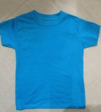 905J1 Hanes 5450 Youth Tagless T-Shirt XSmall 2 Pack Teal