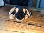 Vintage TY Beanie Babies, Doby the Doberman Pincher, Style 4110, DOB: 10-09-1996