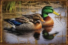 Two Mallard Ducks Swimming Metal Tin Signs Wild Birds Animal Tin Signs Ducks ...