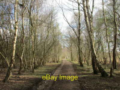 Photo 6x4 Track to former bomb bays This was once part of RAF Riccall. Th c2017