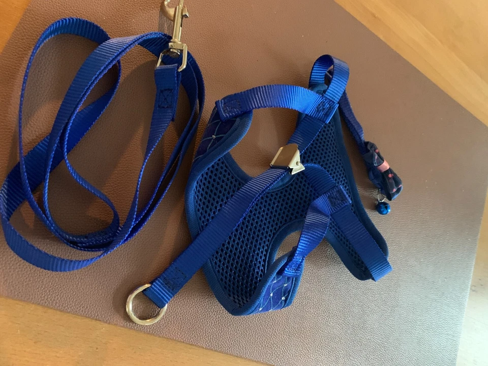 dreiteiliges Welpengeschirr, Katzengeschirr, Halsband, Set mit Leine, neu, Gr S