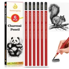 Professional Charcoal Pencils Drawing Set Sketching Kit -6 Pieces Soft Medium...