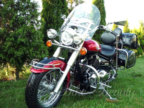 Yamaha Dragstar XVS 650 A V-star XVS650 Rear Crash Bars Heavy Duty Guards - Foto 6 di 9
