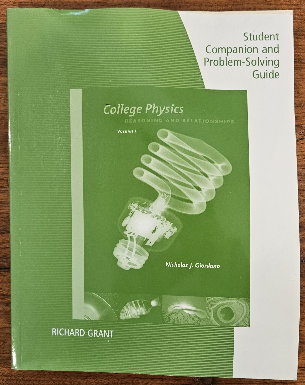 College Physics Vol. 1 : Reasoning and Relationships by Nicholas Giordano (2009, Trade Paperback ...