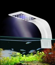 Natural High Brightness Aquarium Lighting