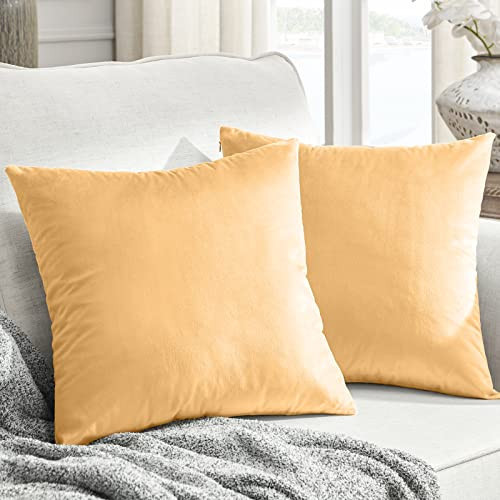 Throw Pillow Covers Pack of 2, 24x24 Decorative Couch Pillow Cover Square