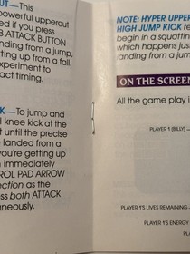 Double Dragon II (Nintendo NES, 1989) solo manual de instrucciones