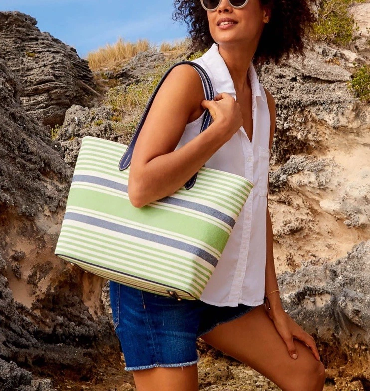 Conjunto de paquete Dooney Bourke Westerly verde azul rayas bolso de mano grande y cartera Foto 3 de 4