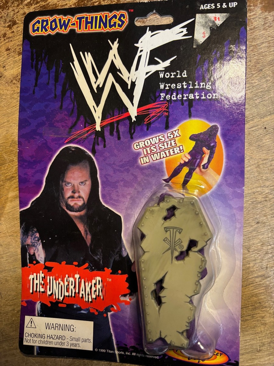 未開封　保管品　WWE(旧WWF)アンダーテイカー　ケイン　サマースラム99 WWF WWE 1999 Spin Master Toys Grow-things The Undertaker MOC for