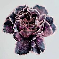 Still Life Von Slow Show,the | CD | Zustand Neu