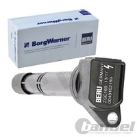 BorgWarner (Beru) ZÜNdspule ZÜNdmodul Passend FüR Honda Accord Civic CR-V FR-V
