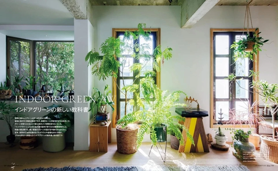 Casa BRUTUS December 2024 INDOOR GREEN AW Japanese Architecture Design Magazine - Image 3 of 4