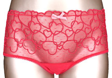Victoria's Secret PINK NWT XL Pink Cheeky Panty Mesh Sheer Hearts Bow Wink