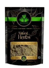 SAI HERBS European Gromwell Herb Powder - Good for Healthy Lifestyle
