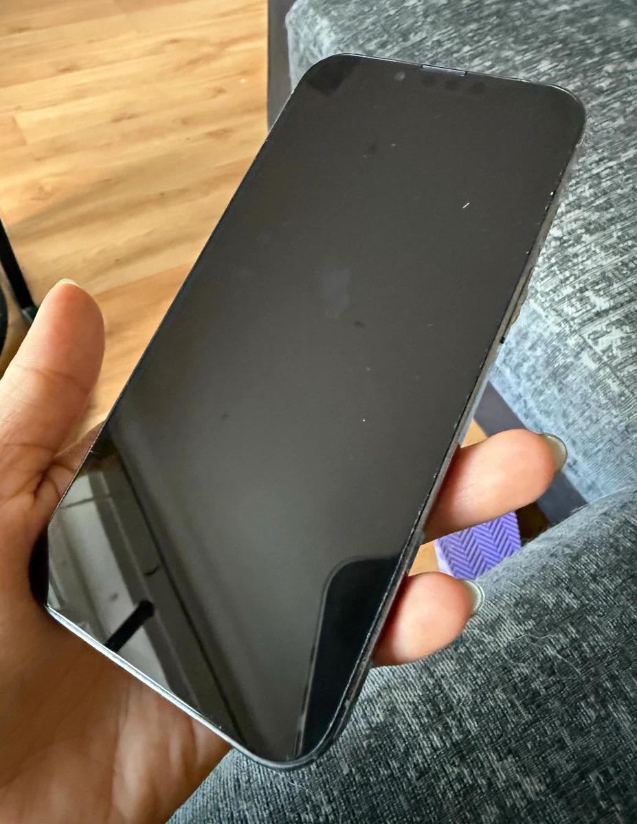Apple iPhone 13 Pro 256GB for sale | eBay UK