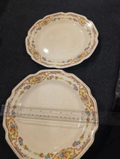 Vintage Mount Clemons Floral Design Dinner Plate Serving Platter 9” Set Of 2