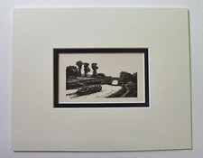 WATKINS-PITCHFORD (BB) Lichfield and Coventry Canal Print ex Narrow Boat