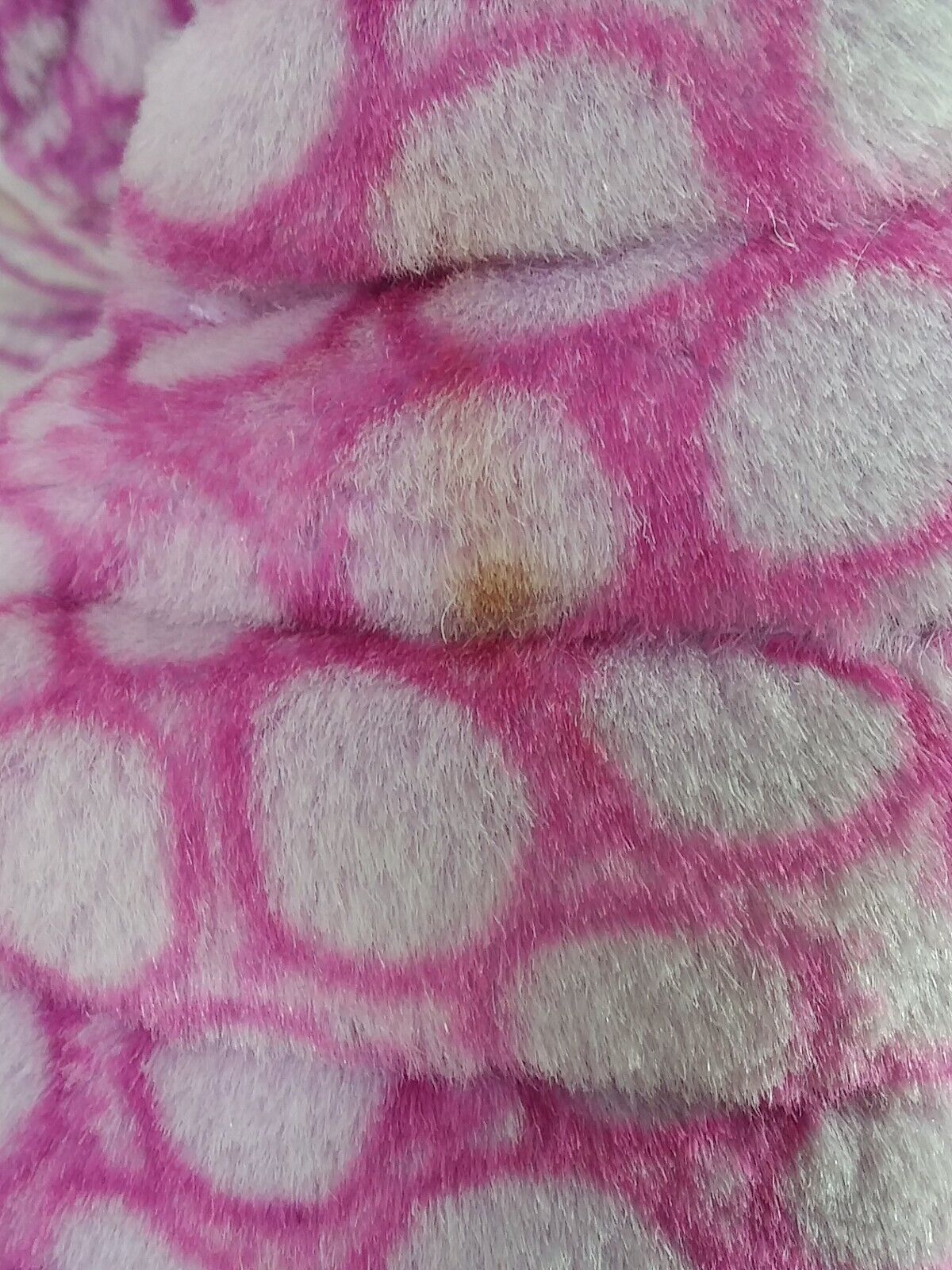 Picture 6 of 9