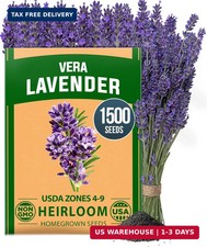 HOME GROWN Non GMO English Lavender Seeds 1,500 Wildflower Seed for Planting In