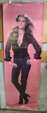 1978 Pro Arts Giant CHERYL LADD Jacket & Jeans on Pink Door Poster - 24"x72"
