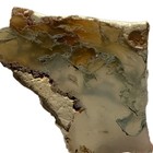 CAREY LACE AGATE SLAB ~ 25 gr/ rough jasper mineral rock green cab — photo 6