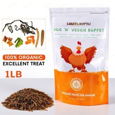 High Protein Dried Mealworms - Bug 'n' Veggie Buffet Treat for Chicken Bird Duck