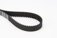 Continental Ctam Zahnriemen Audi A3 A4 A6 Tt Vw Passat B6 Seat Altea Leon Skoda