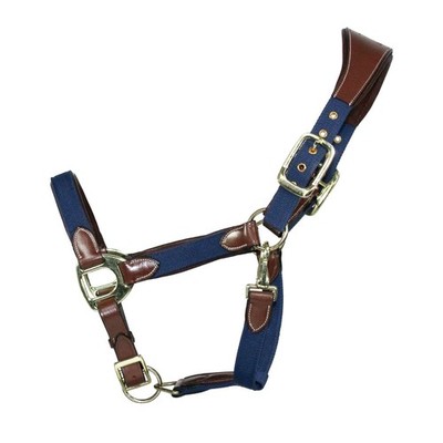 EQuest Halfter Unique für Pferde - Messing Finish, Cognac/Navy - S Pony führen