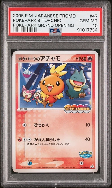 Pokepark's Torchic