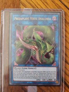 predaplant verte anaconda predaplant verte anaconda