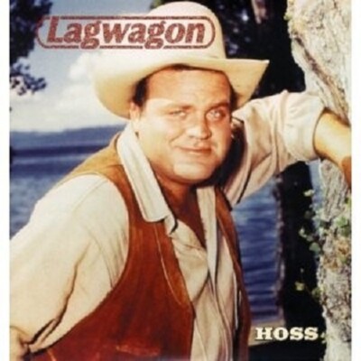 LAGWAGON ''HOSS (REISSUE)'' 2 LP VINYL NEU