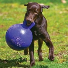 Jolly Pets Tug-n-Toss Heavy Duty Dog Toy Ball with Handle 6 Inches / Red