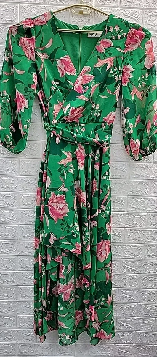 green emerald velvet dress Eliza J Green Floral and Bird Print Belted Dress- Size 14 main image 0