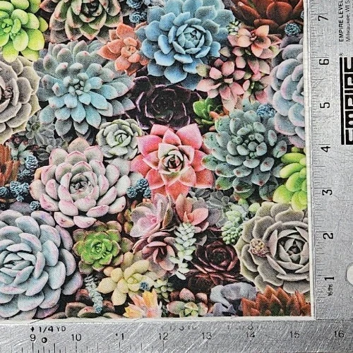 Succulents Succulent Fabric ELIZABETHs STUDIO Quilters Cotton SCANT YARD - Image 2 of 3