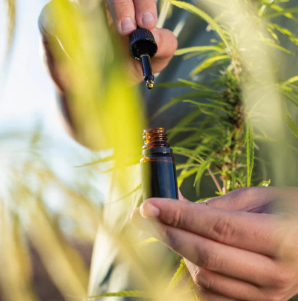 30% Bio HANFÖl -TROPFEN bei chronischen Schmerzen !!! - Bild 4 von 4