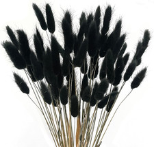 60Pcs Black Pampas Grass Dried Bunny Tails Flowers Mini Natural Dried Floral Arr