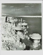 1977 Press Photo Dead Sea mineral, chemical properties form shapes on the shore
