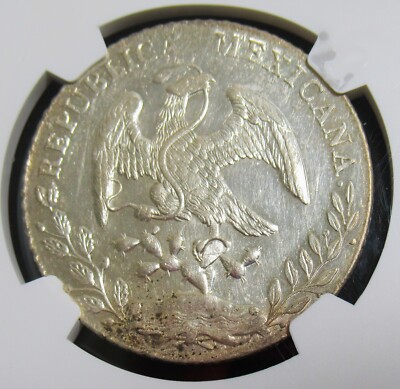 WAGNER 2019摩利支天 WAGNER 2019摩利支天