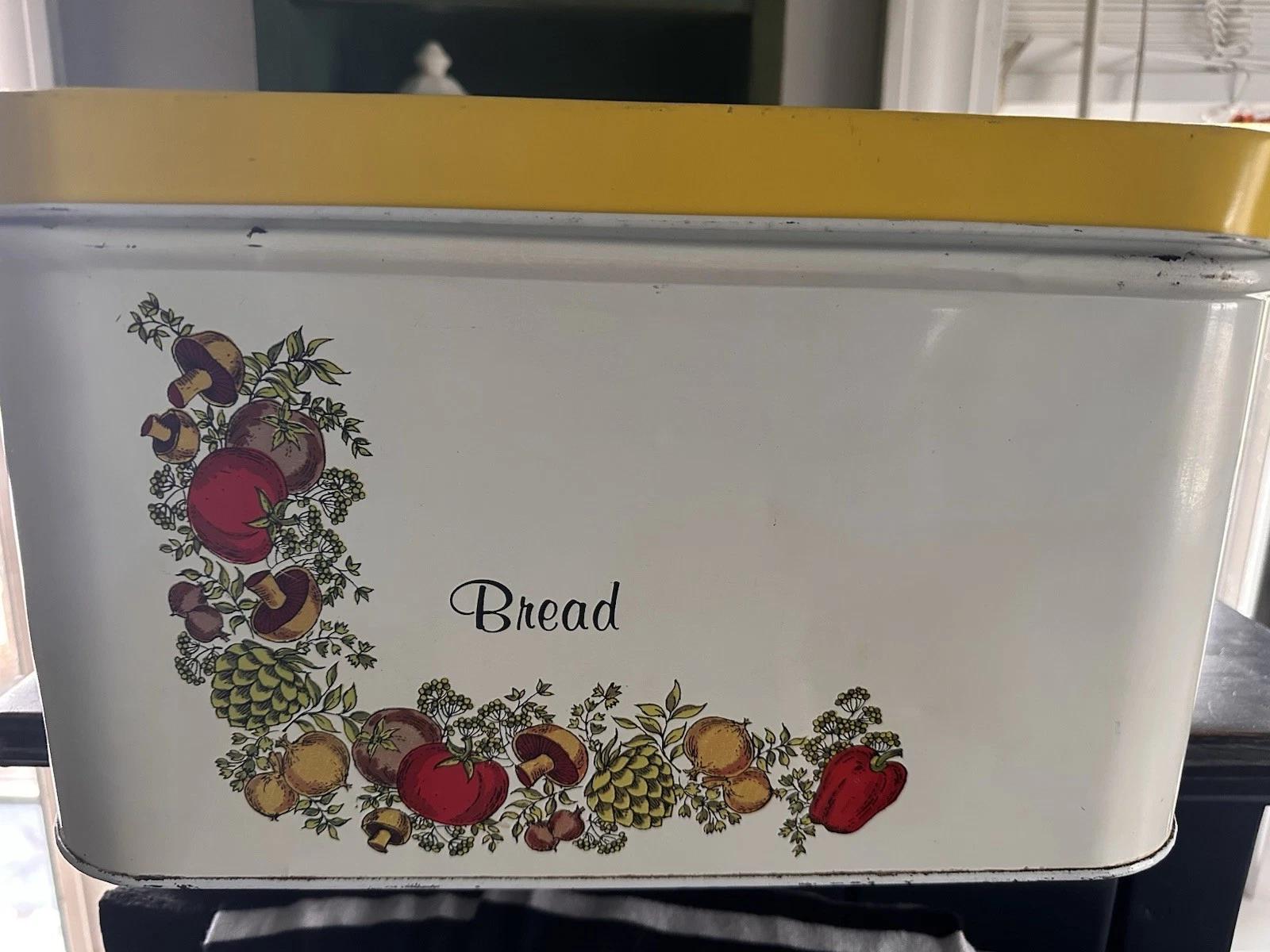VTG CHEINCO SPICE OF LIFE DESIGN METAL BREAD BOX
Opens in a new window or tab