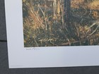 Bild 8 von 10