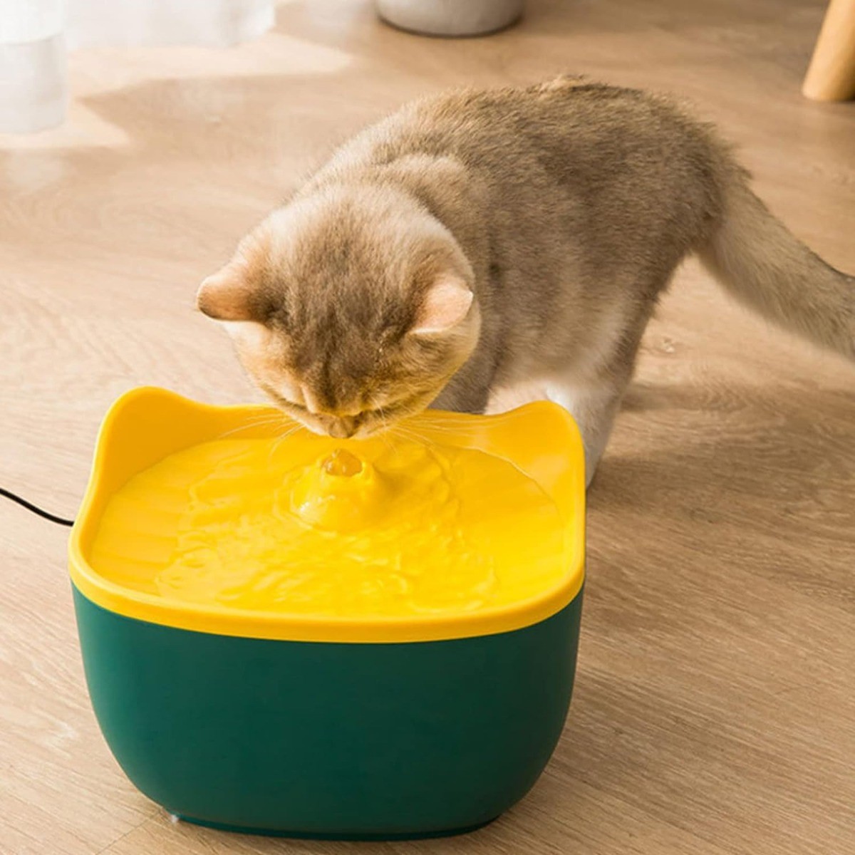 Fontana di Design per Gatti - Pompa Silenziosa e Getto d'Acqua