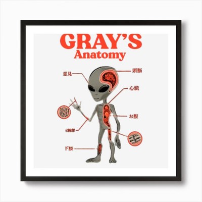 Trend Grays Anatomy Art Print Framed Wall Art Poster Canvas Print Picture