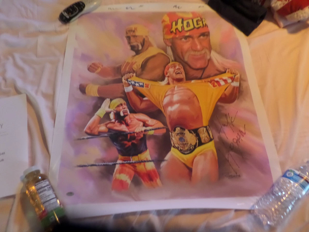Preços baixos em Hulk Hogan Wrestling itens Original Autografada