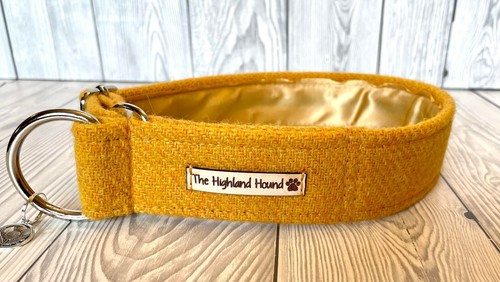 1.5" Buttercup Harris Tweed Fishtail Martingale Dog Collar Greyhound, Whippet - Picture 4 of 8