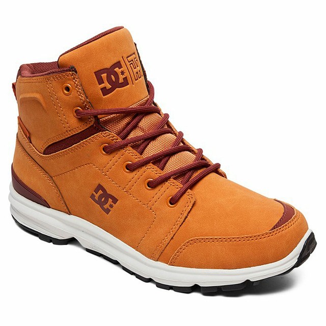 steel toe dc shoes