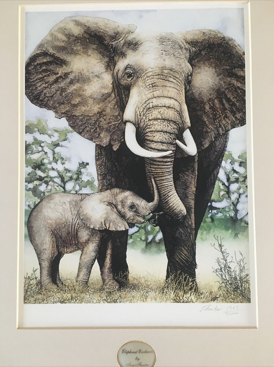 OEPサチュレーションブースター/Elephants found Flowers OEPトランスブースター/Elephants found Flowers/Amaterasライン